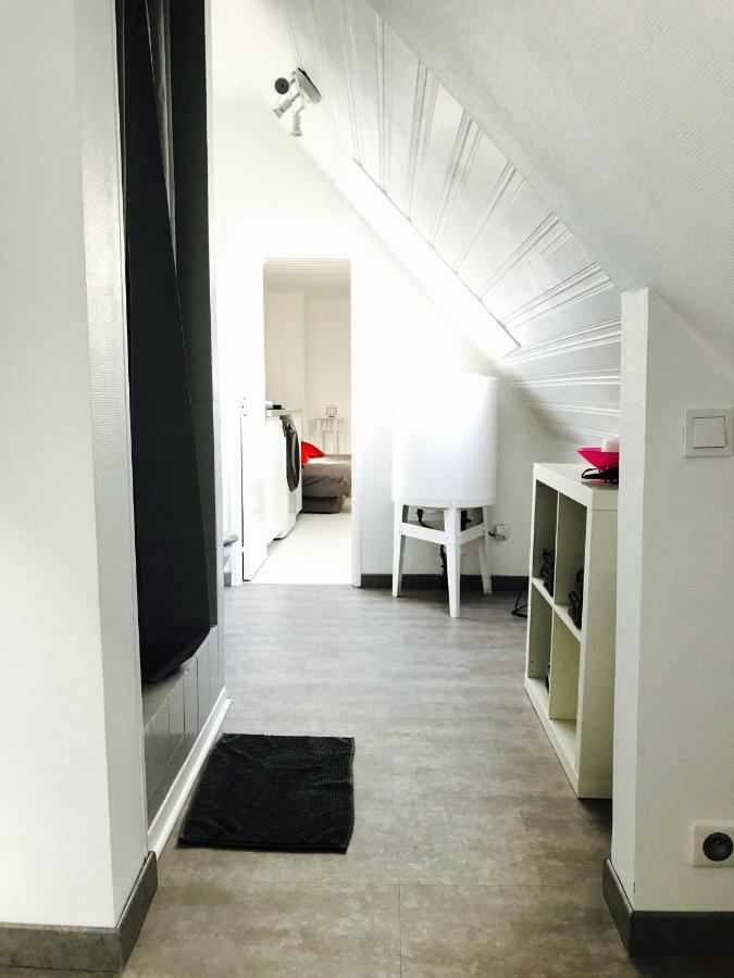 F1 Atypique Au Centre De Strasbourg Apartment Luaran gambar